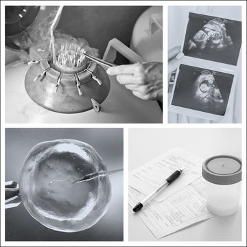 everything you’ve ever wondered about choosing a sperm donor everything you’ve ever wondered about choosing a sperm donor