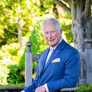 king charles homes